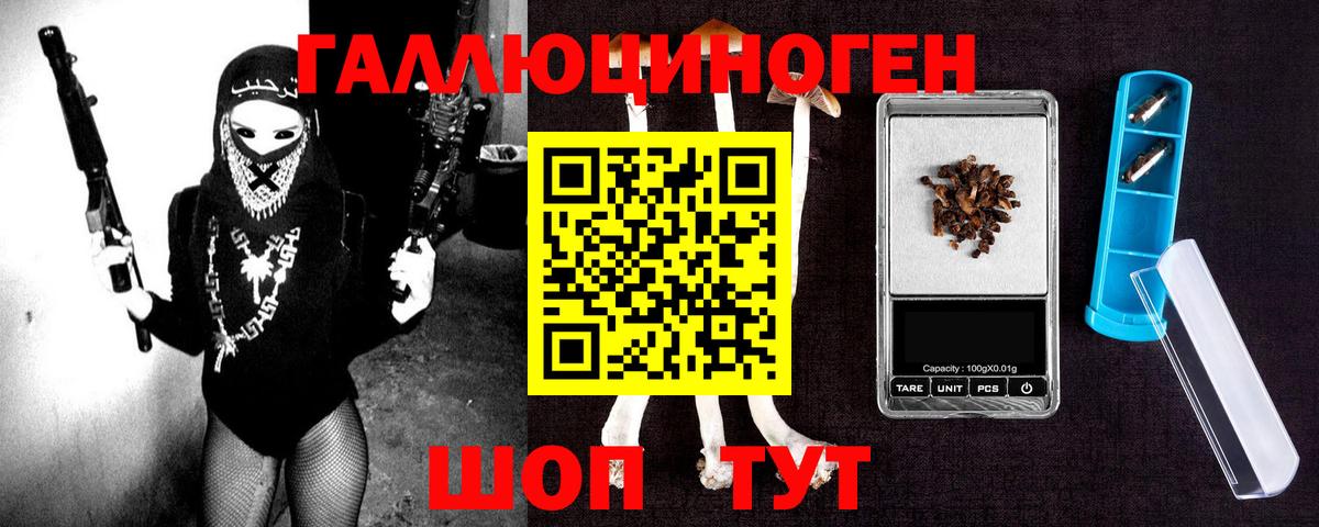 Галлюциногенные грибы Psilocybe  Псилоцибиновые грибы MAGIC MUSHROOMS  Вход с VPN  Ефремов 